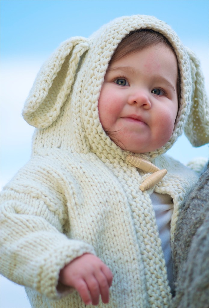 babylamb