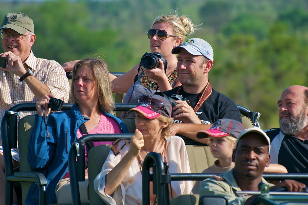 safari