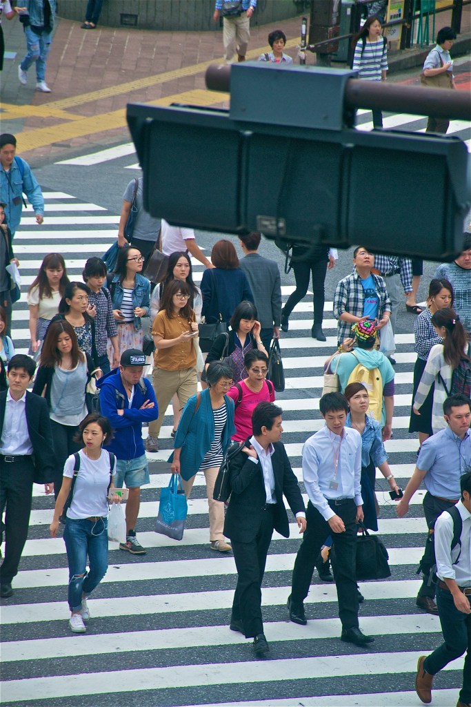 Shibuya Crossing 34